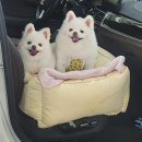 인천소방고등학교 | 화훼장식기능사 실기 합격후기 (인천 소방 고등학교)