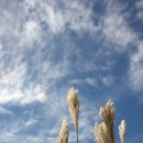 덕산기에서 이미지