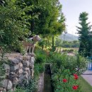 덕산가축병원 이미지