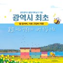 회생약품 이미지