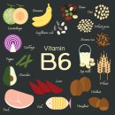 비타민PC 이미지