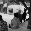 사방할머니 이미지