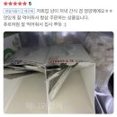 코숏 고양이 주니의 극호 영양제! 마이펫닥터 영양제 네바에토닉 헤어볼&amp;유리나벨라 비뇨