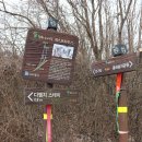 디엠지스테이 이미지