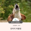 청학동물병원 이미지