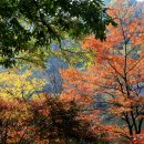 입곡군립공원(산림욕장) 이미지