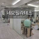 네모필라테스 - 강북구 솔샘로 233 | 솔샘역 필라테스 | 네모필라테스 솔샘점 5:1 그룹 필라테스 체험 후기