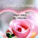 가꾸는여자