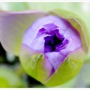 동서치과교정과치과의원 이미지