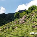 화개축산 이미지