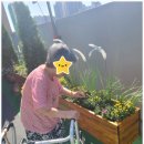 살구꽃요양원 이미지