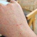 살랑 그루밍 이미지