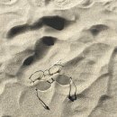 안경나라 남천점 이미지