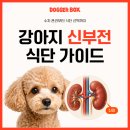 푸르마 | [통합본] 강아지 신부전 식단 가이드