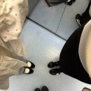 하루&라라 네이버블로그