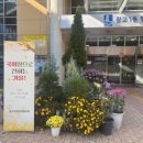 광교1동행정복지센터 이미지