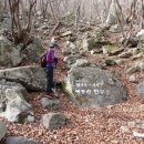 박달3리 이미지