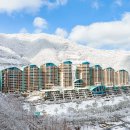 휘노래연습장 | 파크🎱소노벨, 소노펠리체 비발디파크 지하 '비바 플렉스 몰' 후기(가는 길, 영업시간, 반려동물 동반)