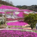 생초IC(대전)