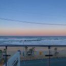 파니아토 이미지