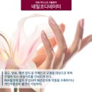 시연네일 이미지