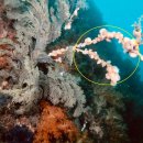 해송4로 이미지