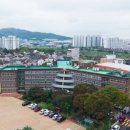 손통신 대학저널