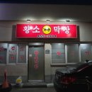 구미 원평동 맛집 황소막창 막창 얇은삼겹 내돈내산