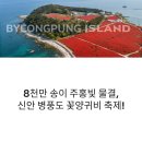 농협오거리 교통섬 | 한국의 산티아고 신안 병풍도 꽃양귀비 축제 방문 가이드