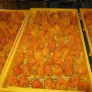 황재농장 이미지