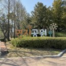 김해 연지공원 벚꽃 튤립 실시간 개화현황 및 주차장 정보