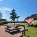 학포 | 울릉도 학포야영장1박 솔직후기와 예약방법