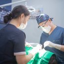 남천바른생각치과의원 이미지