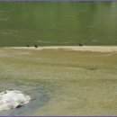 지정회관 이미지