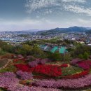 전주 완산동 꽃마을 이미지