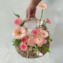 밀테플레르 이미지