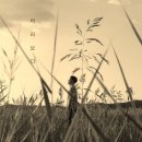 바라 이미지