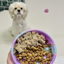 까까멍펫푸드 이미지