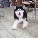 송림6동 주민센터 이미지