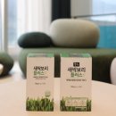 한경팜 | 새싹보리