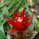 영광예복 이미지