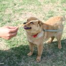 뚜리까까 이미지