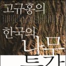 천과나무 이미지