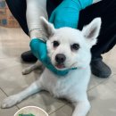 죽암(부산) 이미지