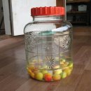 푸른솔 농장 이미지