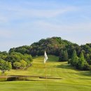 아네시스 이미지