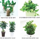 금호화원 네이버블로그