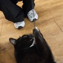 좋은빌딩((유)좋은사람들) | 머엉 때리기 🫣