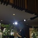 동문예식장 | 연세동문회관 예식장 결혼식 후기｜신촌 예식장 위치·분위기·식사 솔직 리뷰