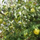 아림농장 이미지